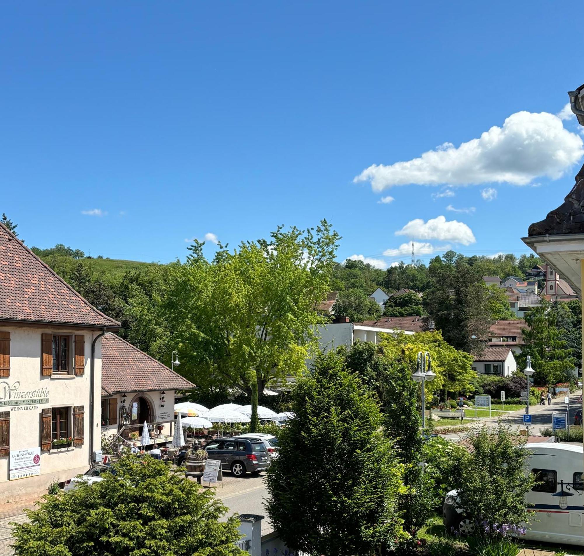 Gesamte Wohnung, Kueche, Parkplatz, Terrasse Бад-Беллінген Екстер'єр фото
